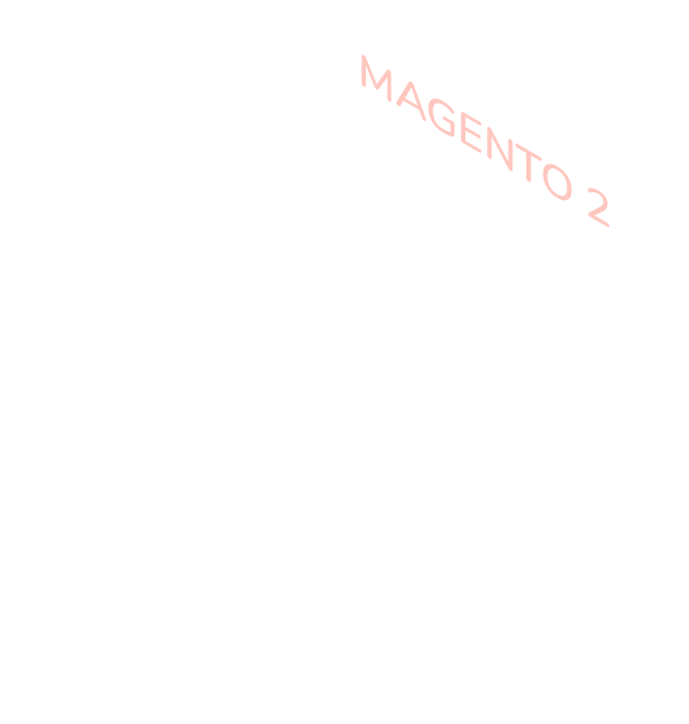 Magento 2 Developer