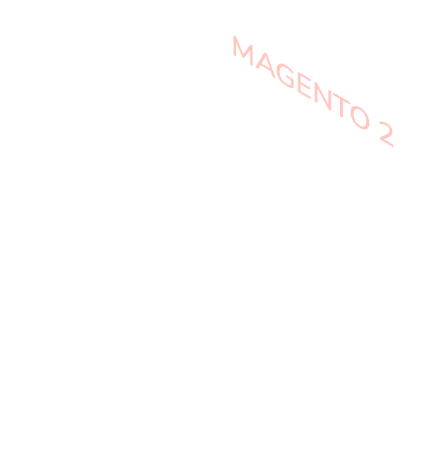 Magento 2 13 Magento 2 Developer