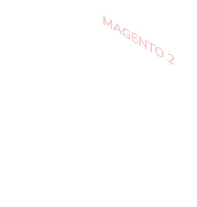 Magento 2 Developer