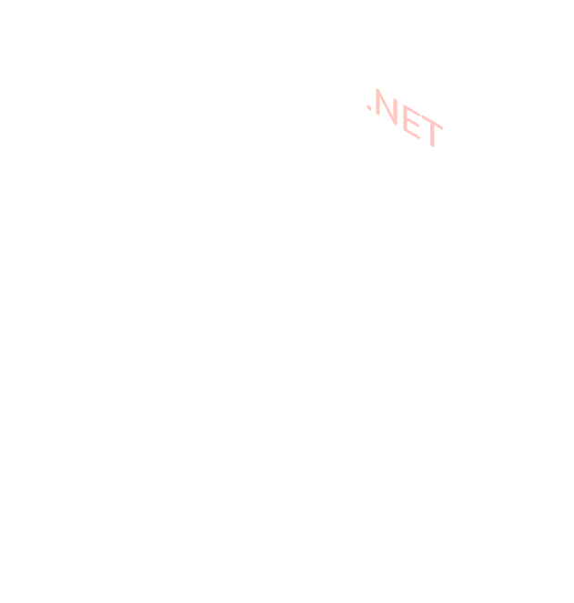 .NET 13 .Net developer
