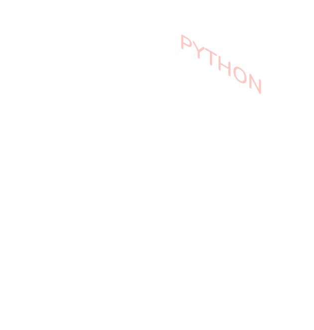 Python 13 pn