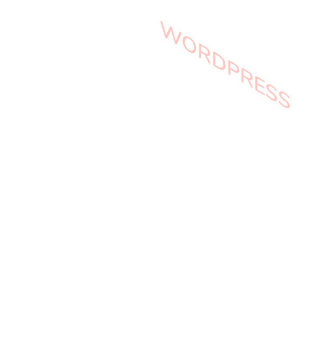 Wordpress-Development 13 wp