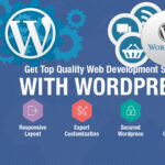 Top 5 WordPress Theme