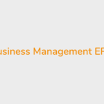 Business Management ERP Advantages and Disadvantages: How To Decide