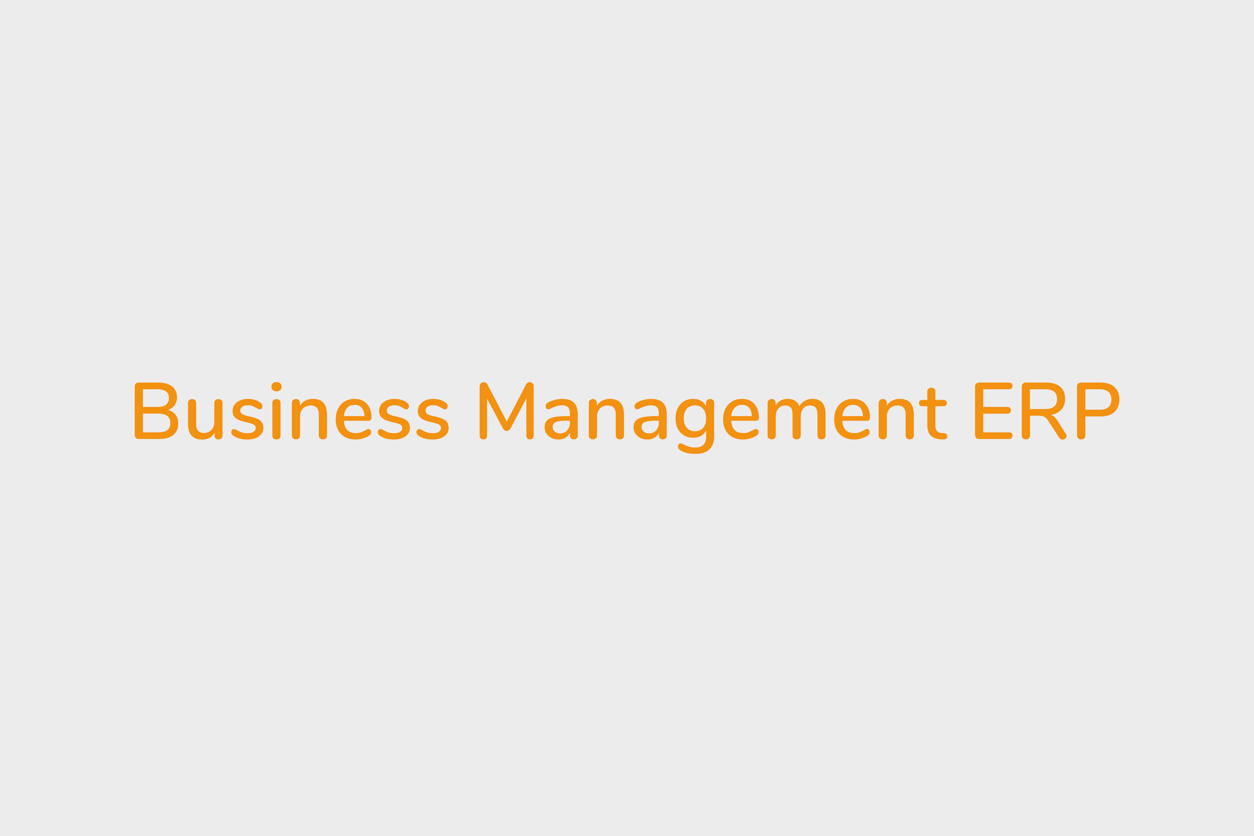 Business management-ERP