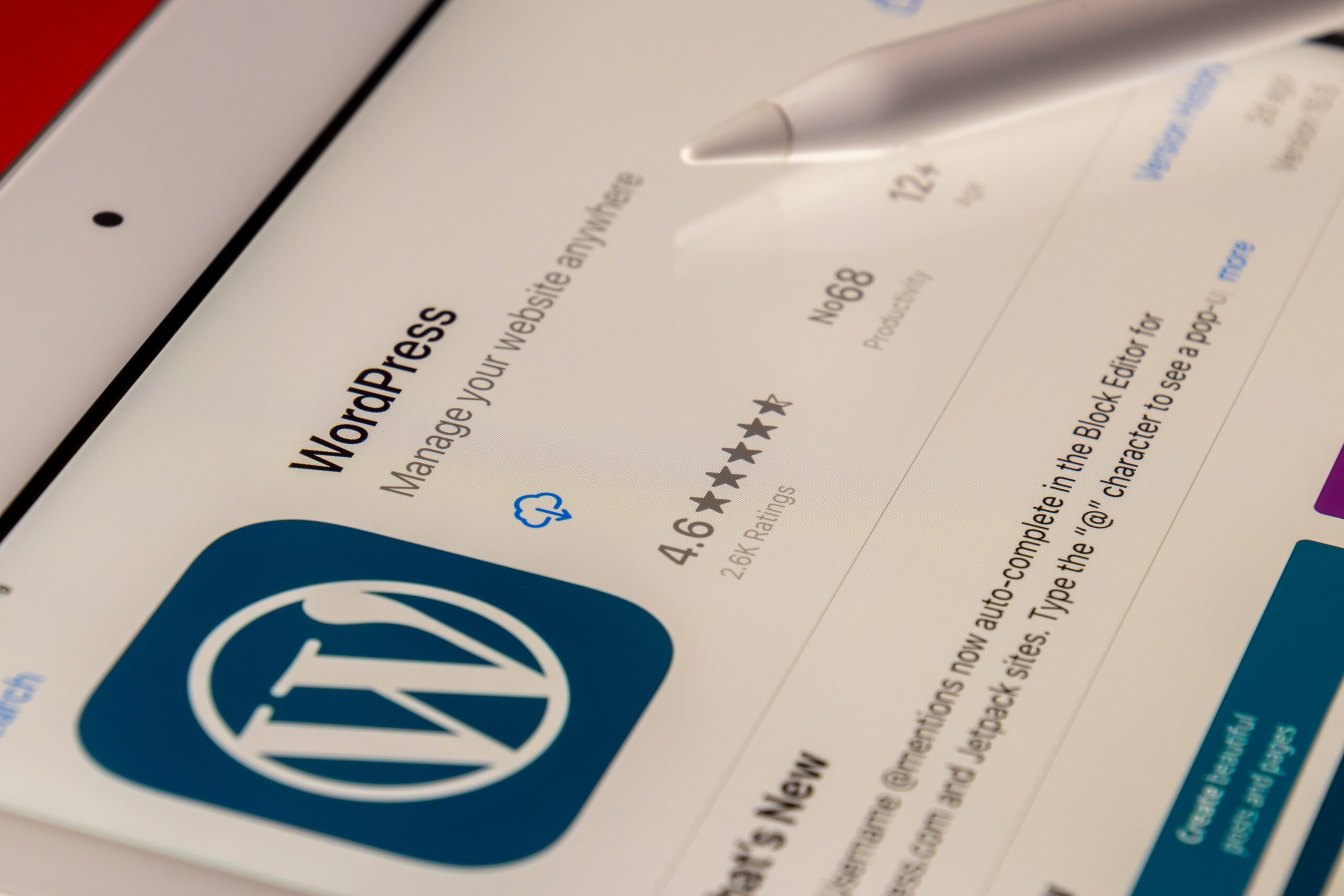 Wordpress Agency, WordPress development agency | WordPress website maintenance cost