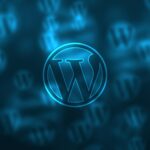 WordPress Agency India