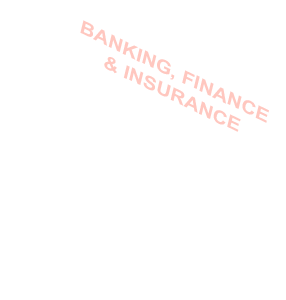 Banking, Finance & Insurance
