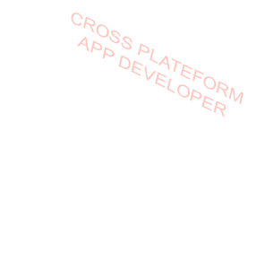 Cross-platform application