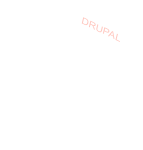 DRUPAL Developer