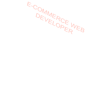 E-Commerce Developer