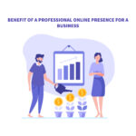 What is the benefit of a professional online presence for a business?