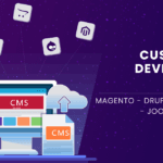 Top CMS Development Company in India – Empower Your Digital Journey with Infydots 2025 🚀