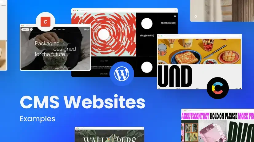 cms website examples