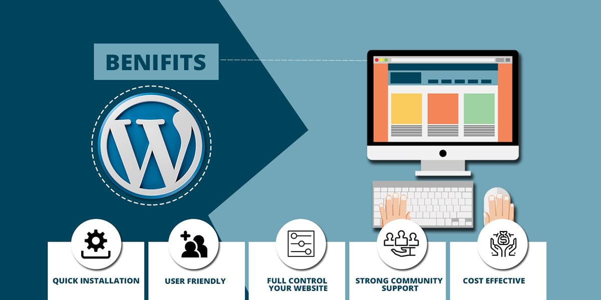 CMS Website Examples : The Ultimate Guide to Building Flexible, Scalable, and SEO-Friendly Websites 🚀 4 custom cms development services