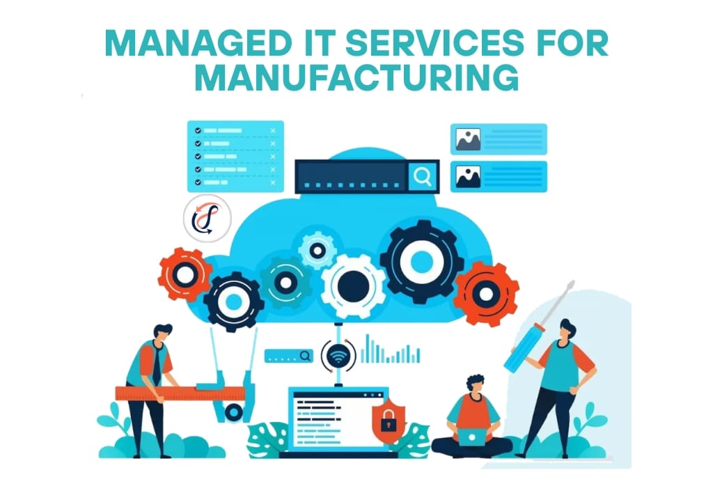 IT Professional Service: Tailored IT Solutions for Accountants, Manufacturers, Schools, and Banks 2 IT Professional Service